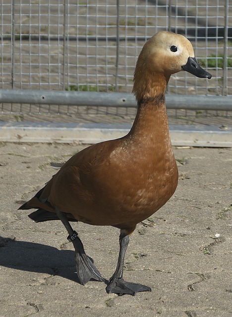 失误并不少
