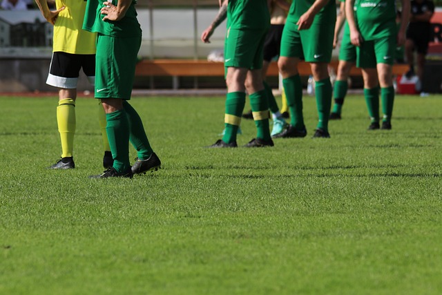 是一个不小 是一个不小