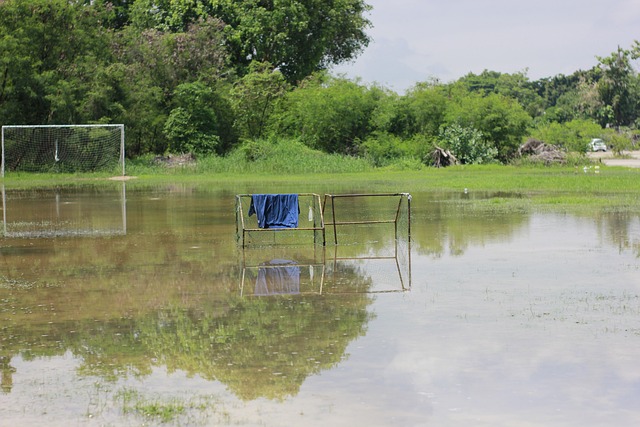 足球是一個 足球是一個