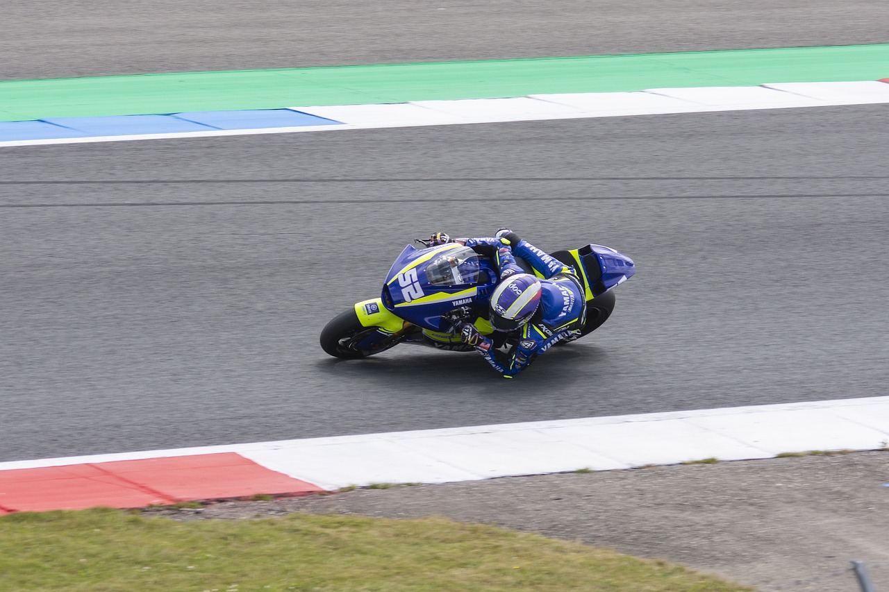 阿努诺比的 阿努诺比的