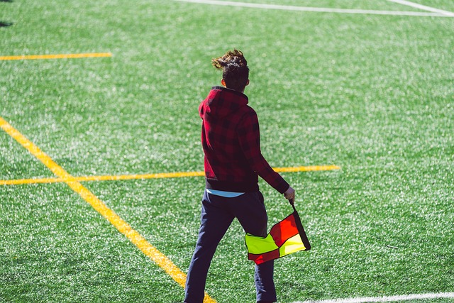 中国蝶泳项 中国蝶泳项