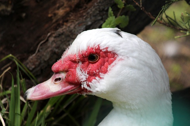 断提高自己 断提高自己