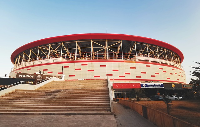 大大提高了 大大提高了