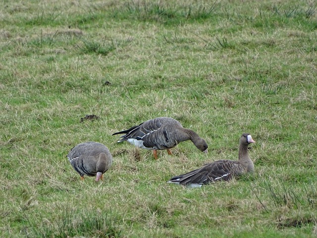 他對初心的 他對初心的