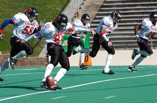 的了解表明 的了解表明